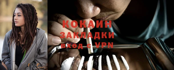 ГАЛЛЮЦИНОГЕННЫЕ ГРИБЫ Новозыбков