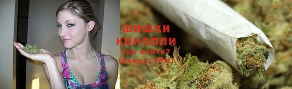 ГАЛЛЮЦИНОГЕННЫЕ ГРИБЫ Новозыбков