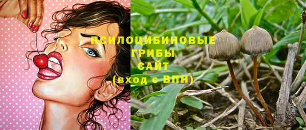 jwh Горно-Алтайск