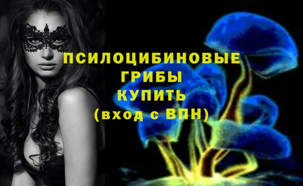 ГАЛЛЮЦИНОГЕННЫЕ ГРИБЫ Новозыбков